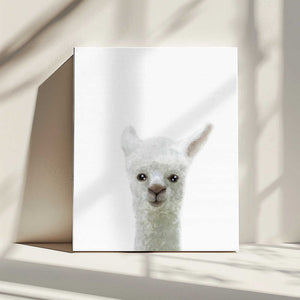 Tablou canvas „Llama” de Pictufy Studio II