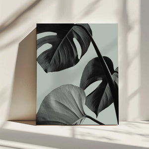 Tablou canvas „Monstera Teal 07” de Pictufy Studio III
