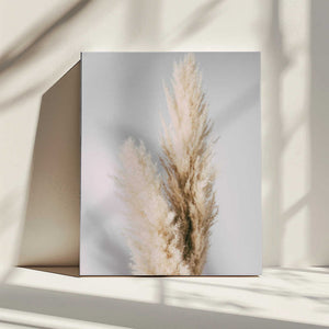 Tablou canvas „Pampas Grass Grey” de Pictufy Studio III