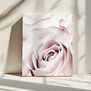 Tablou canvas „Pink Rose No 05” de Pictufy Studio III