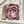 Tablou canvas „Pink Rose No 04” de Pictufy Studio III