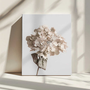 Tablou canvas „Beige dried flower” de Pictufy Studio III