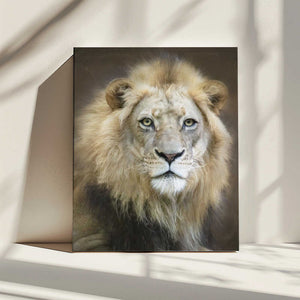 Tablou canvas „Portrait of a Young Male Lion” de Linda D Lester
