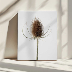 Tablou canvas „Dried_004” de Pictufy Studio III