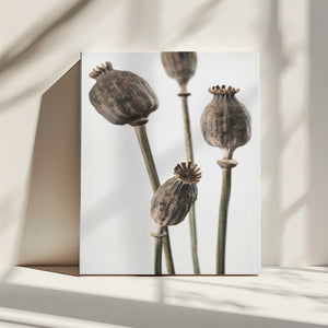 Tablou canvas „Dried_006” de Pictufy Studio III