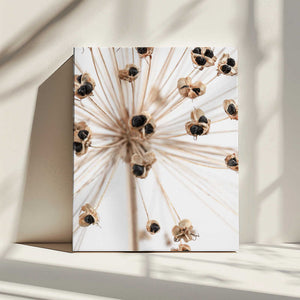 Tablou canvas „Dried_007” de Pictufy Studio III