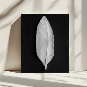 Tablou canvas „Feather_008” de Pictufy Studio III