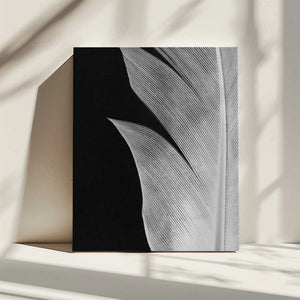 Tablou canvas „Feather_005” de Pictufy Studio III