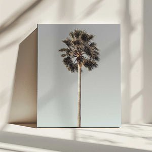 Tablou canvas „Palm_001” de Pictufy Studio III