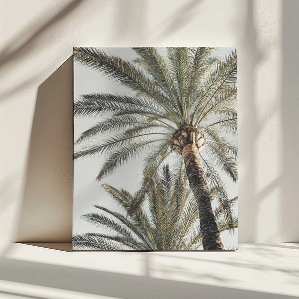 Tablou canvas „Palm_005” de Pictufy Studio III