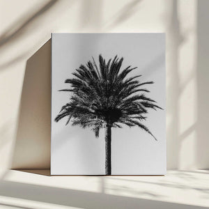 Tablou canvas „Palm_003” de Pictufy Studio III