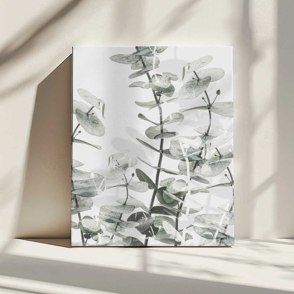 Tablou canvas „Eucalyptus_001” de Pictufy Studio III