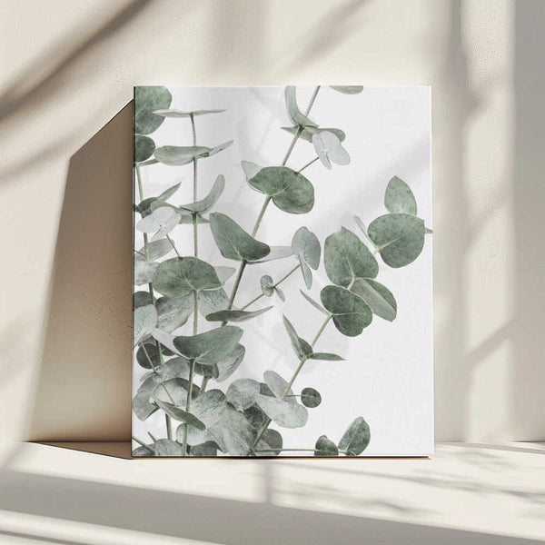 Tablou canvas „Eucalyptus_003” de Pictufy Studio III