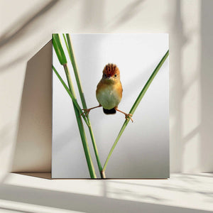 Tablou canvas „Kung Fu Master” de Lina Gunawan
