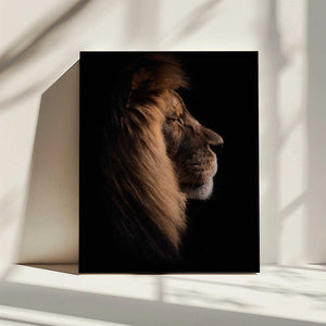 Tablou canvas „Sleeping King” de Peter Schade