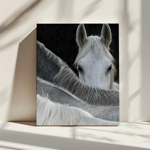 Tablou canvas „Look” de Milan Malovrh