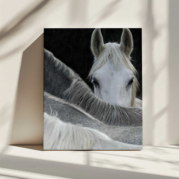 Tablou canvas „Look” de Milan Malovrh