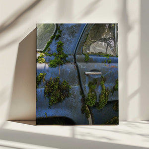 Tablou canvas „blue and moss” de Ruth Franke