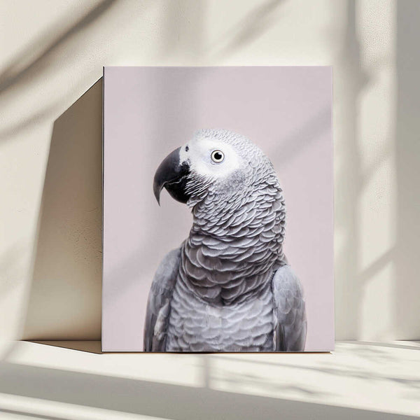 Tablou canvas „African Grey” de Kathrin Pienaar