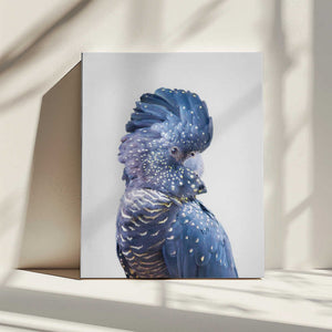 Tablou canvas „Black Cockatoo” de Kathrin Pienaar