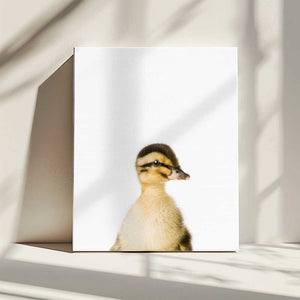 Tablou canvas „Baby Duck” de Kathrin Pienaar
