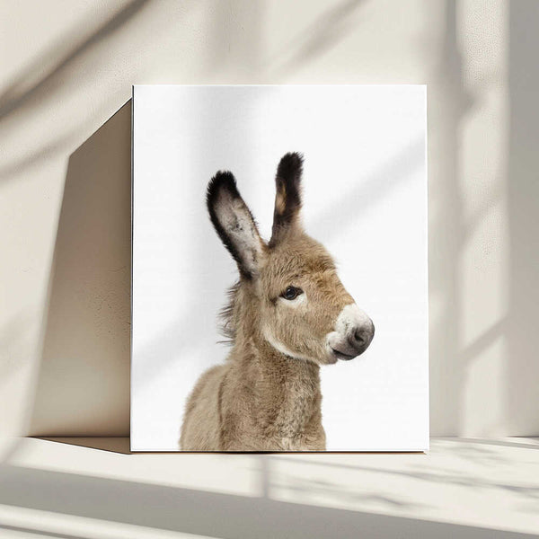 Tablou canvas „Baby Donkey” de Kathrin Pienaar