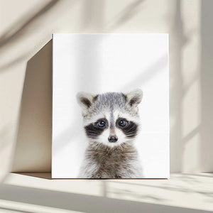Tablou canvas „Baby Racoon” de Kathrin Pienaar