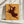 Tablou canvas „RODEO CAT” de Adam Lawless