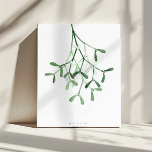 Tablou canvas „Watercolor mistletoe” de Rosana Laiz Blursbyai