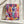 Tablou canvas „Ponies” de Pauline Wegman | Key and Sea Creative