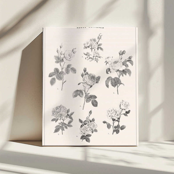 Tablou canvas „Roses” de Florent Bodart