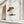 Tablou canvas „Hand Drawn Rufous Milkcap Mushroom” de Biodiversity Heritage Library