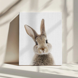 Tablou canvas „Peekaboo Bunny” de Lola Peacock