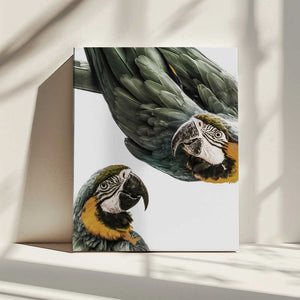 Tablou canvas „Vibrant Parrot Duo” de Shot by Clint