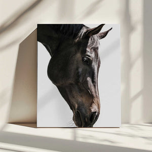 Tablou canvas „Gentle Equine Gaze” de Shot by Clint