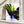 Tablou canvas „Vivid Bird Glance” de Shot by Clint
