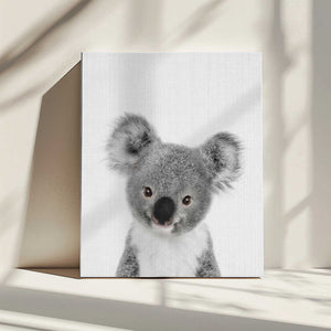 Tablou canvas „Peekaboo Baby Koala” de Lola Peacock