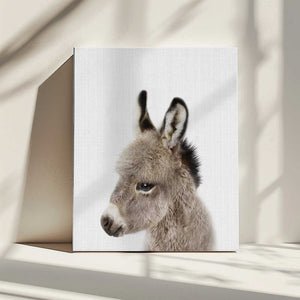 Tablou canvas „Peekaboo Baby Donkey” de Lola Peacock