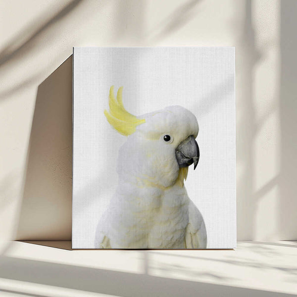 Tablou canvas „Peekaboo Cockatoo” de Lola Peacock