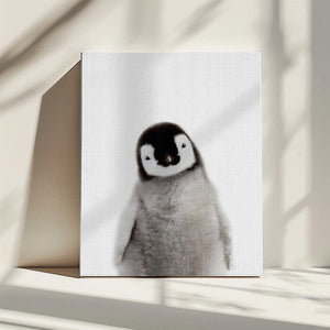Tablou canvas „Peekaboo Baby Penguin” de Lola Peacock