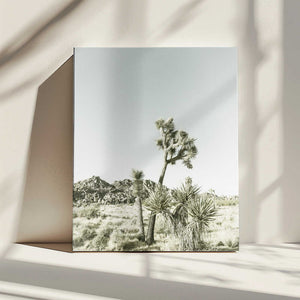 Tablou canvas „Joshua Tree National Park Vintage Impression” de Melanie Viola