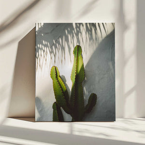 Tablou canvas „Socal Shadows” de Bethany Young