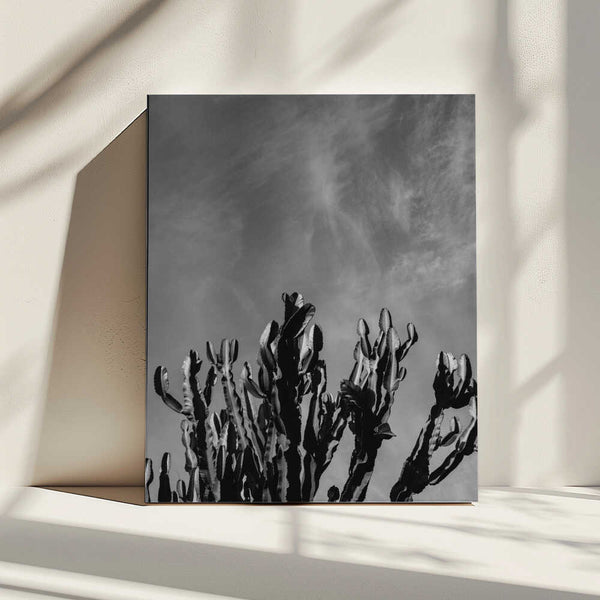 Tablou canvas „Monochrome Cactus Sky” de Bethany Young