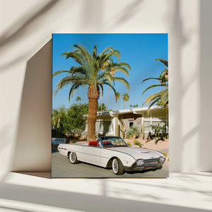 Tablou canvas „Palm Springs Thunderbird” de Bethany Young