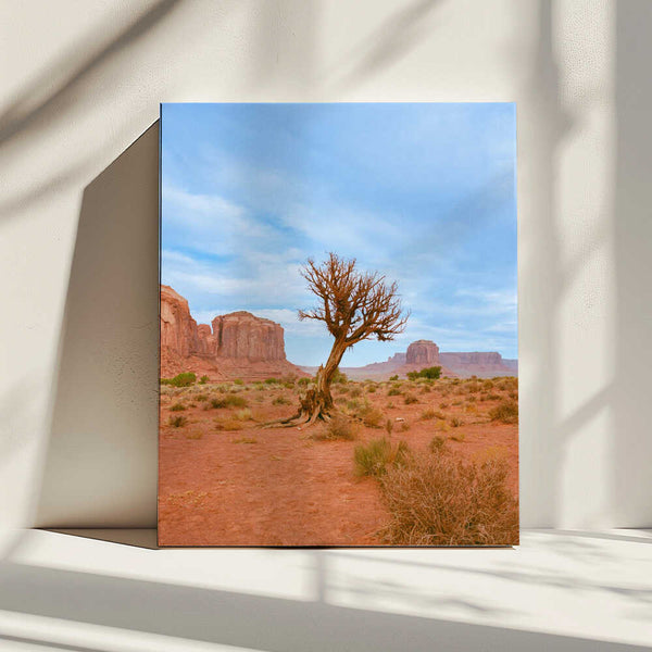 Tablou canvas „Monument Valley XI” de Bethany Young