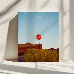 Tablou canvas „Abiquiu Sunset” de Bethany Young