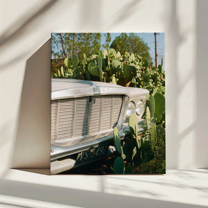 Tablou canvas „Marfa Ride VIII” de Bethany Young
