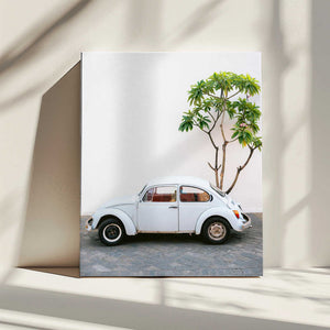 Tablou canvas „Pastel Volskwagen Beetle in the streets of Oaxaca Mexico” de Raisa Zwart