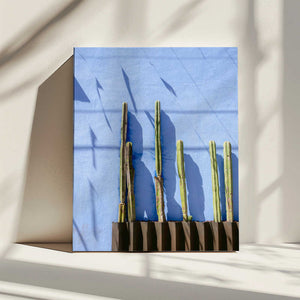 Tablou canvas „Tall Cacti | Oaxaca Mexico travel photography” de Raisa Zwart