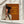 Tablou canvas „Don't Call Me Honey Badass Western Cowgirl Art” de The Whiskey Ginger